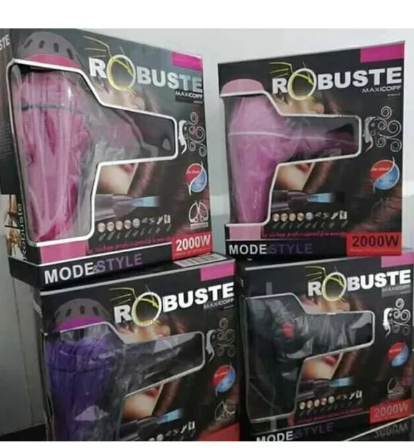 FRE Sèche cheveux professionnel