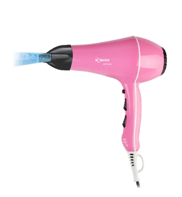 S2 Sèche cheveux professionnel