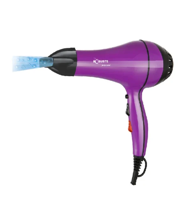S5 Sèche cheveux professionnel