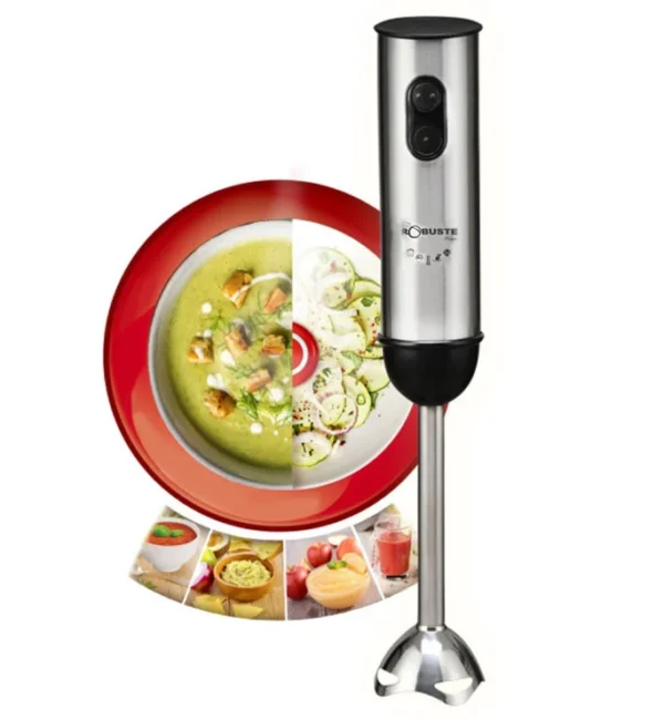Mixeur BMI600 Robuste